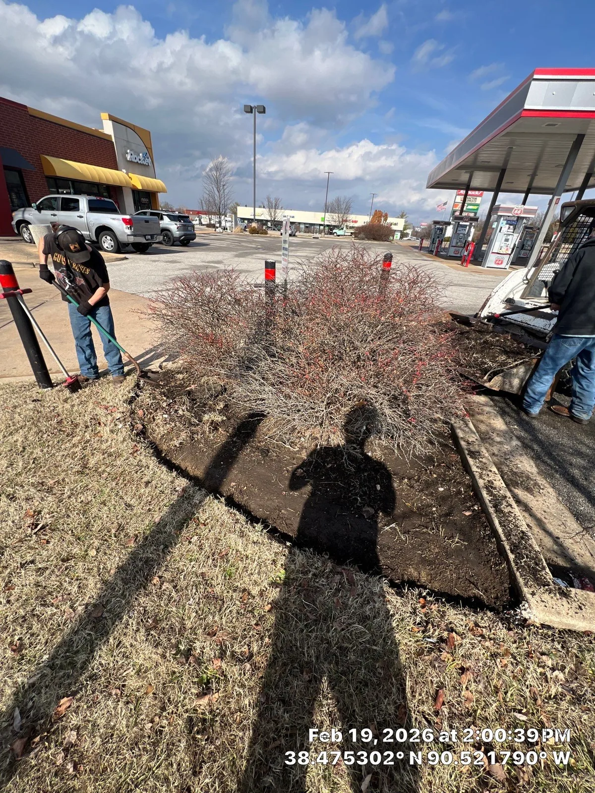 Crew renovating a large commercial planting bed