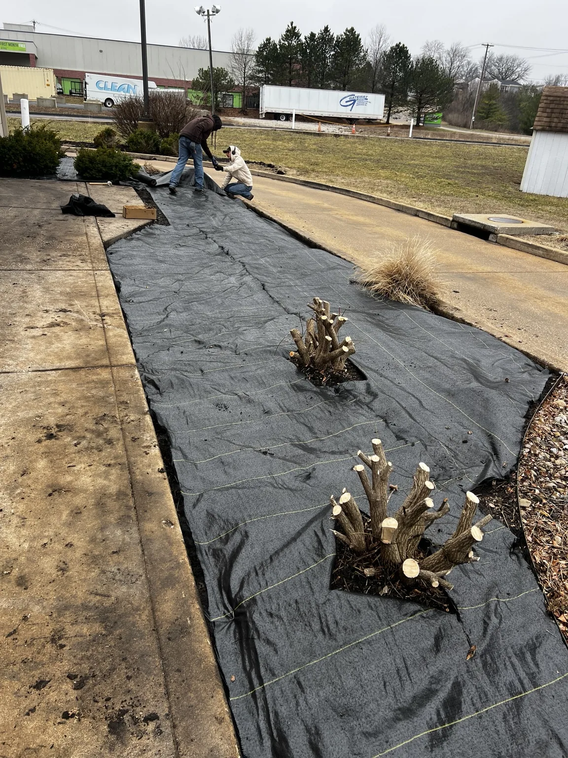 Commercial-grade weed barrier laid in a planting bed