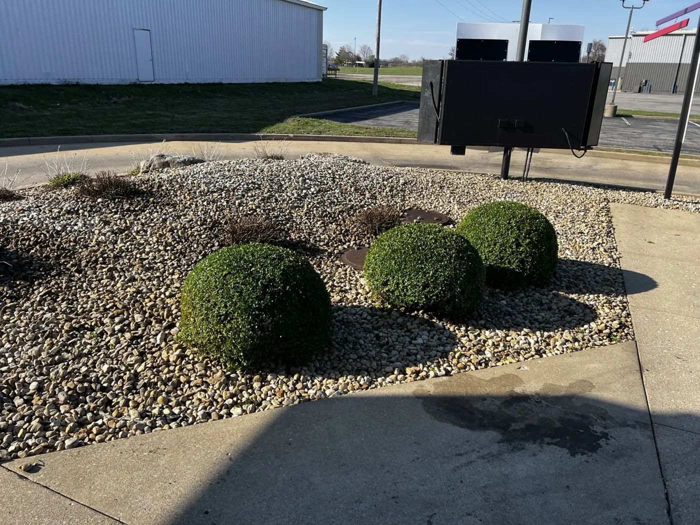 Rounded shrubs and maintained rock bed