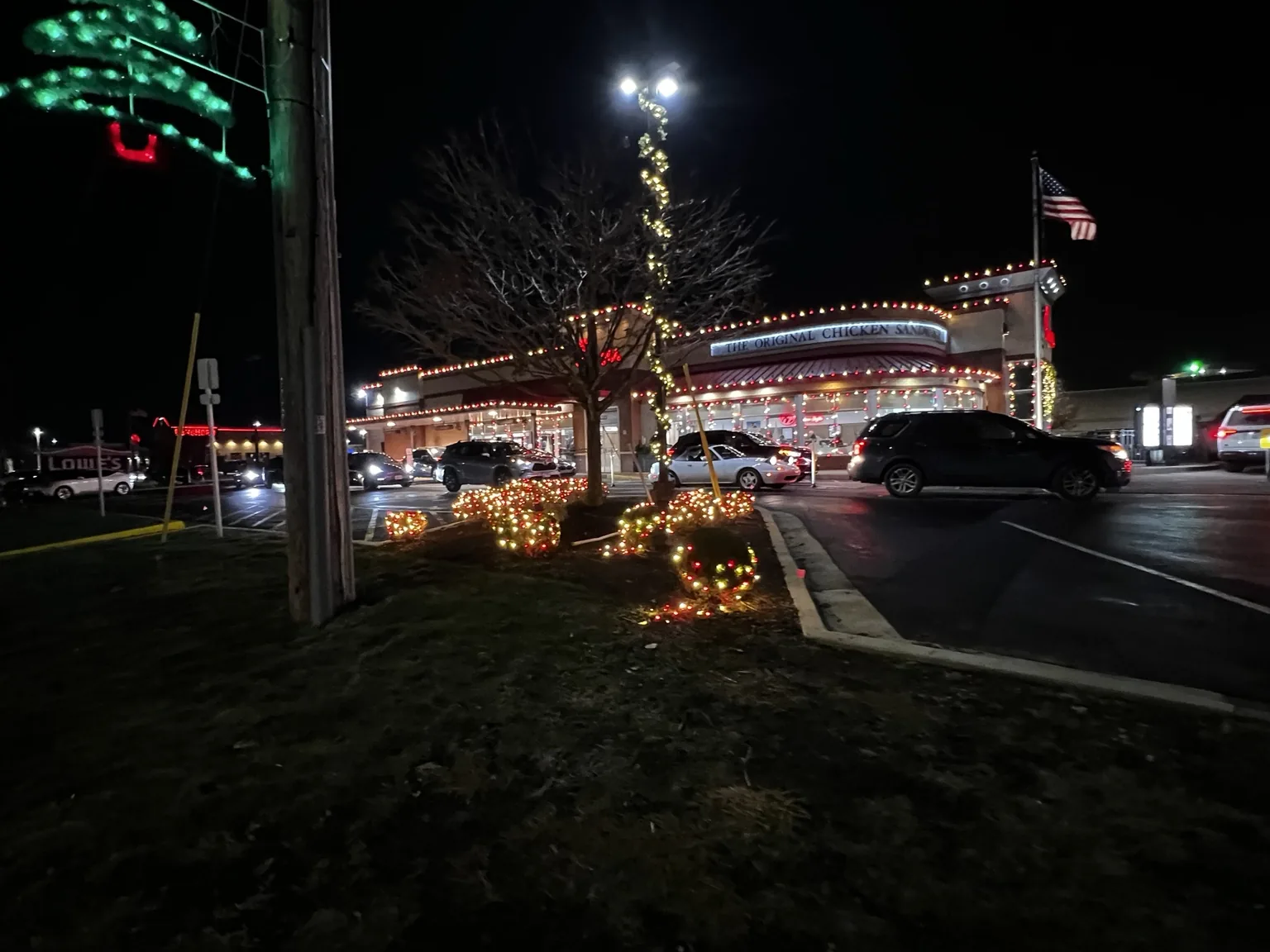 Light-wrapped trees and landscape along a commercial walkway