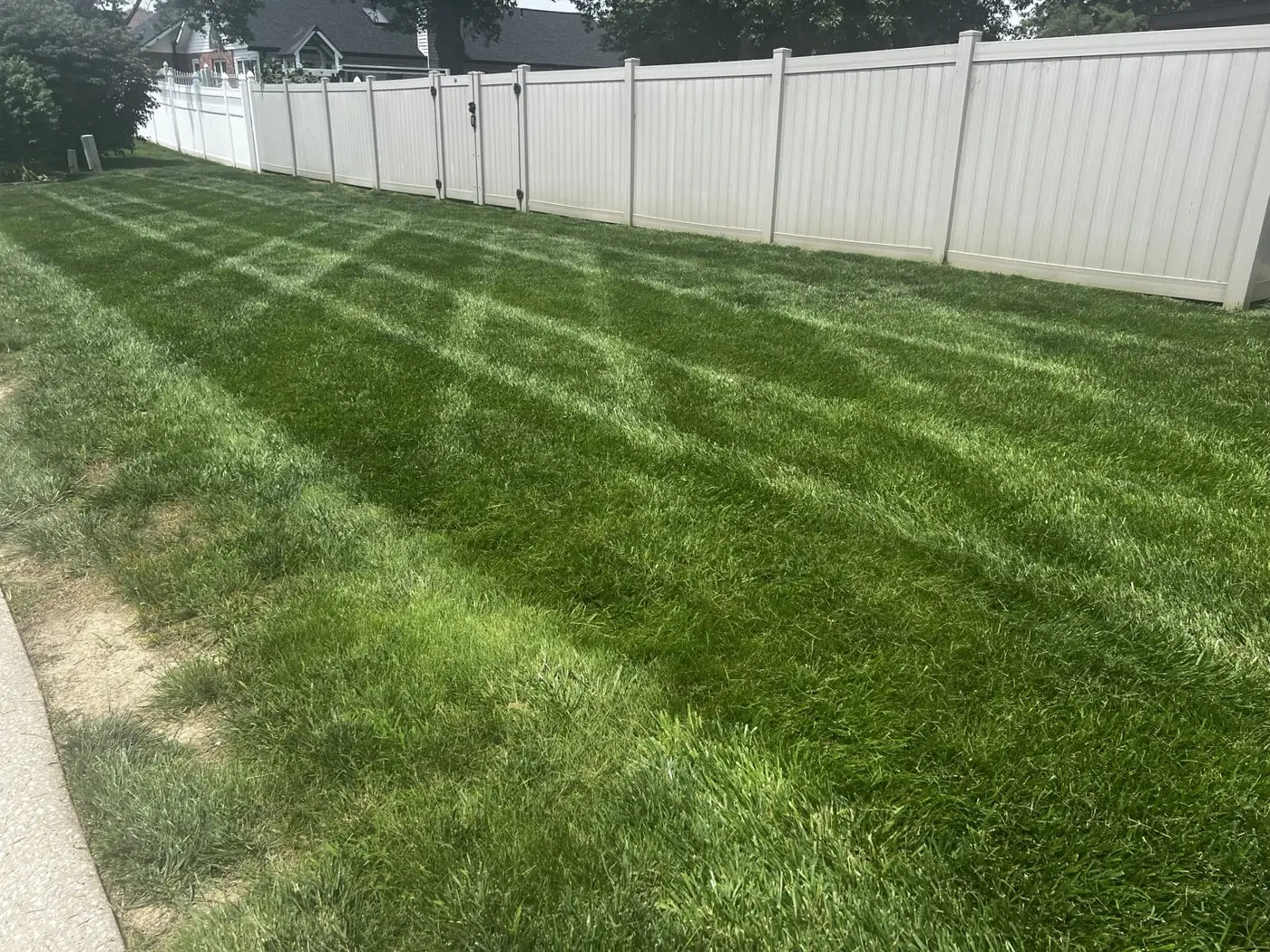 Turf Programs service example