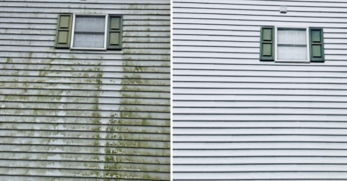 Siding algae removal before and after