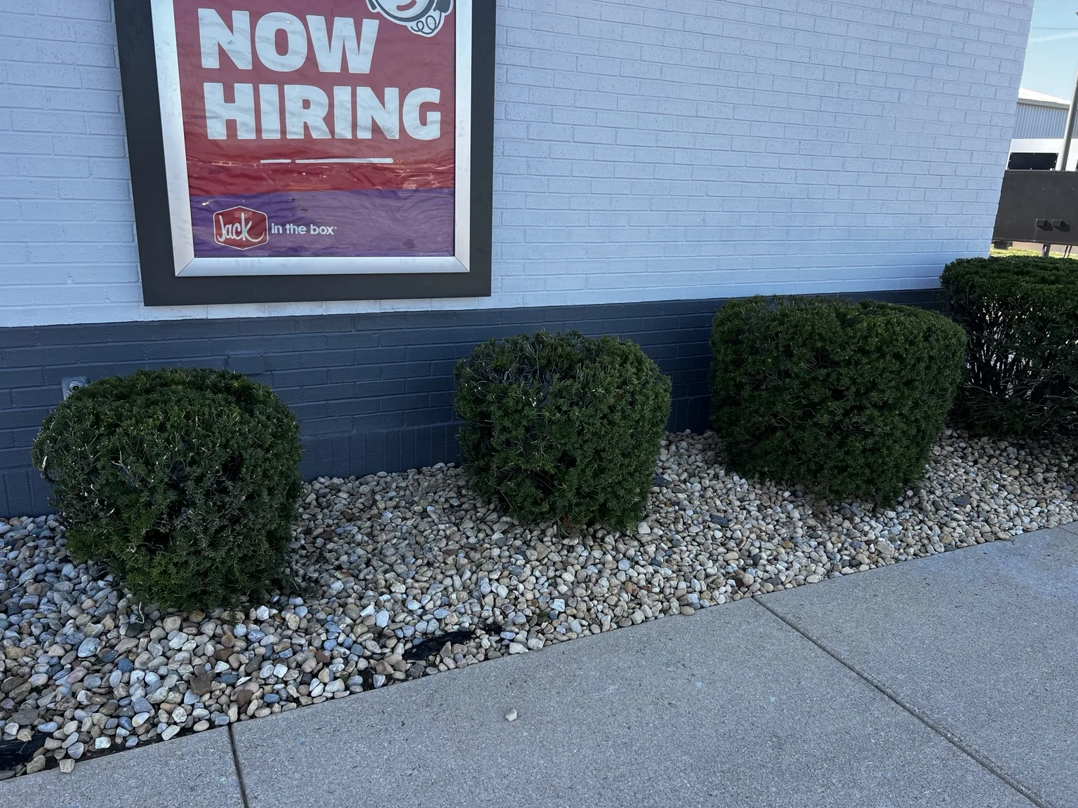 Maintained shrubs and stone beds at a commercial building