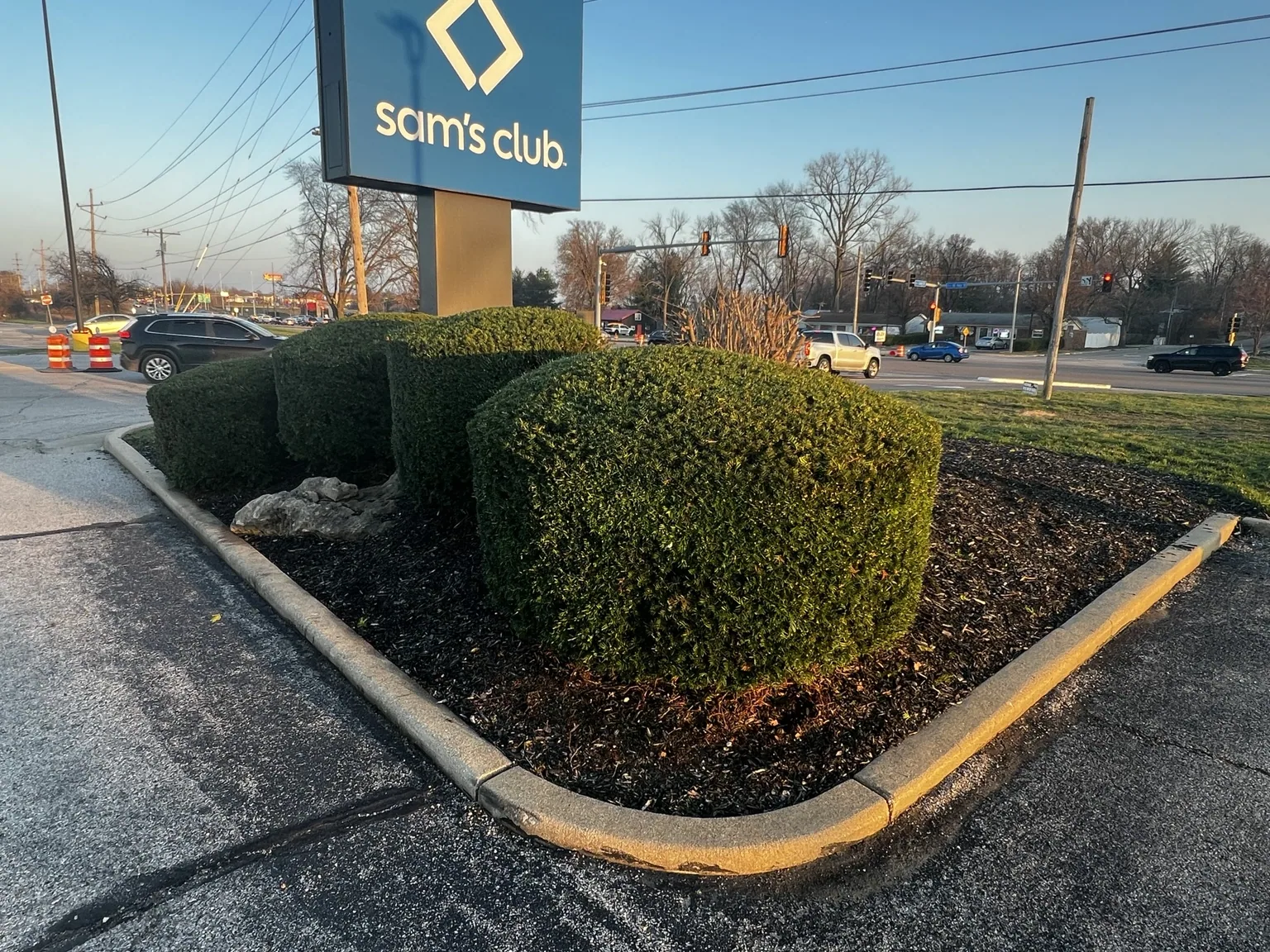 Trimmed shrubs and refreshed mulch at a retail entrance