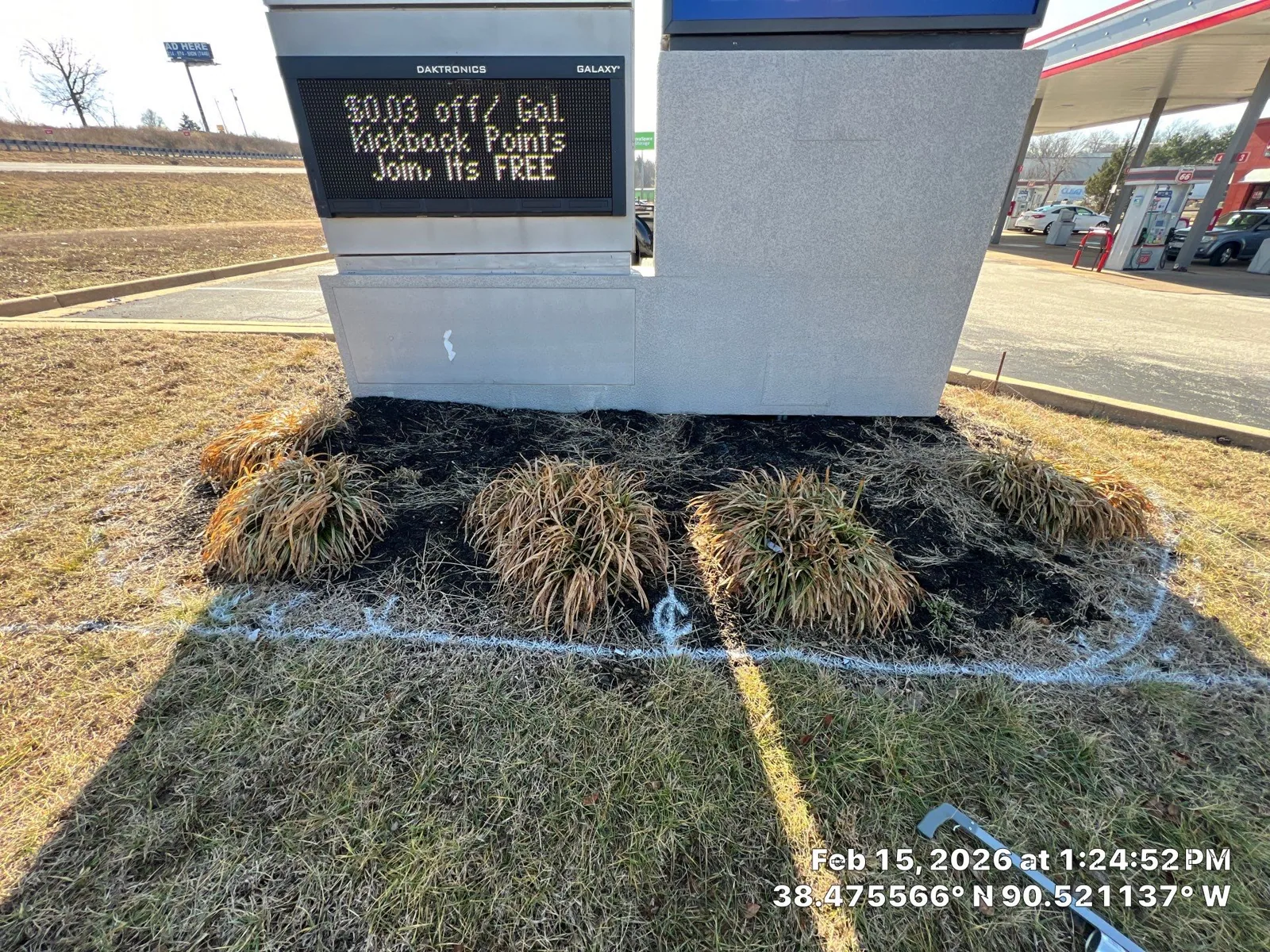 Planting bed before landscape maintenance