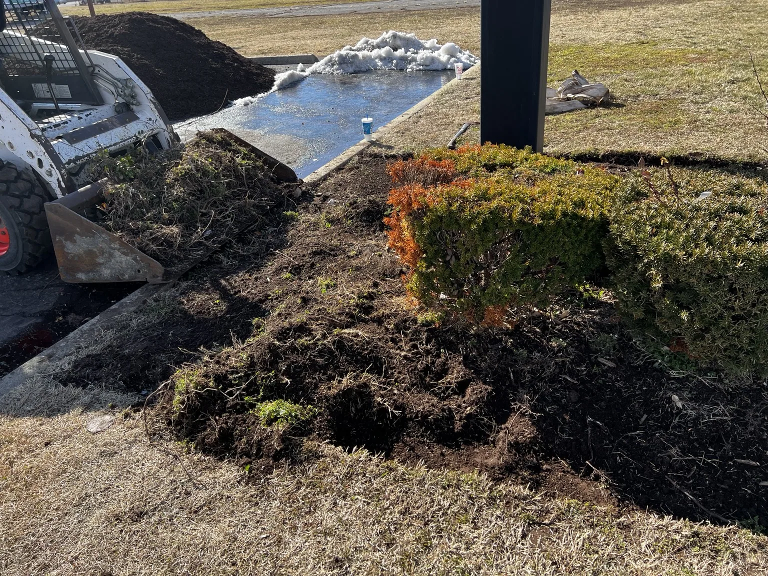 Shrub and planting bed renovation in progress
