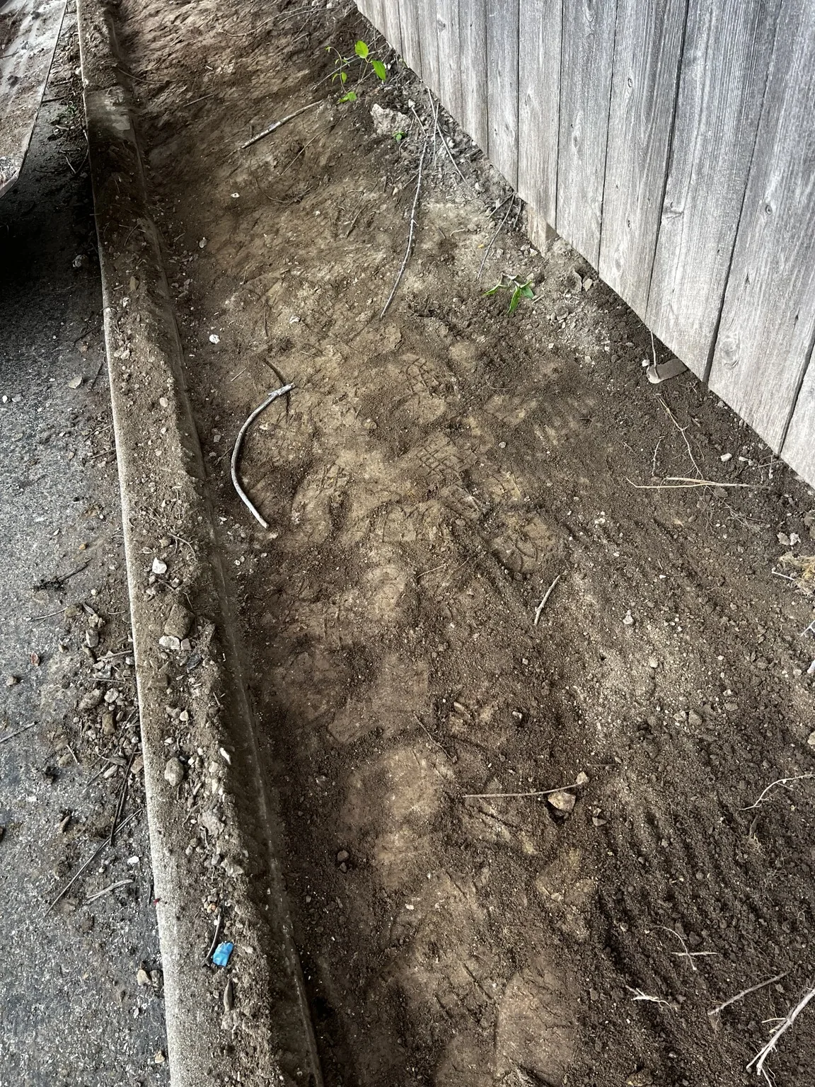 Cleared soil prepared for tall fescue sod