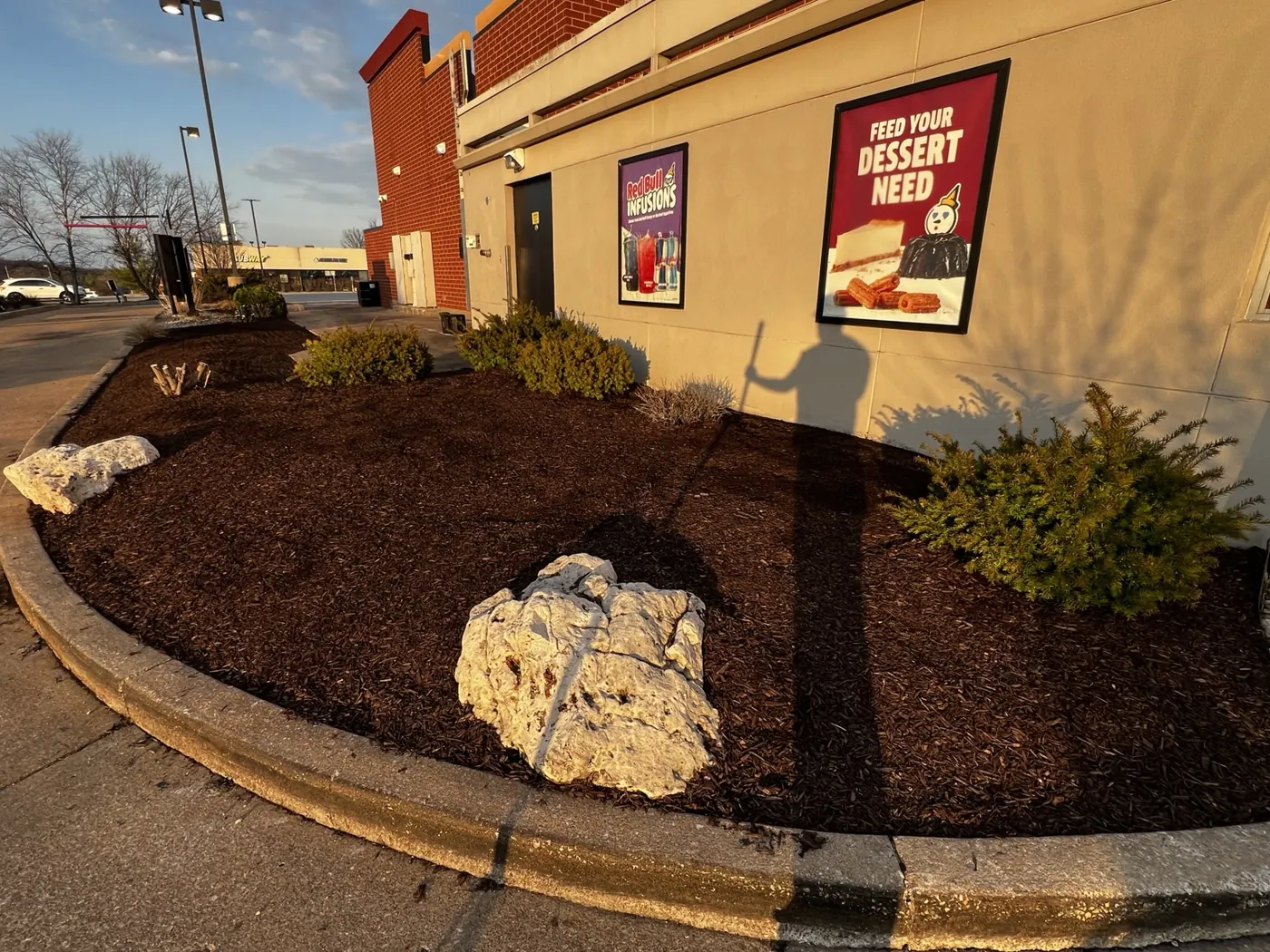 Fresh mulch and plantings at a commercial property