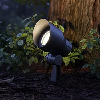 Adjustable landscape spotlight positioned near a tree