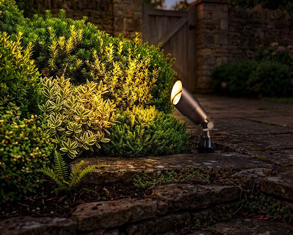 Warm spotlight highlighting green shrubs beside a stone path