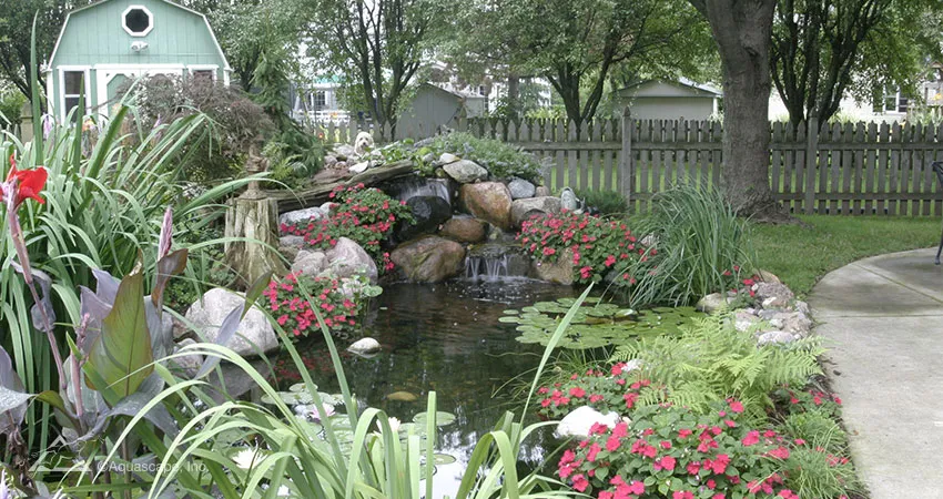 Backyard pond retreat